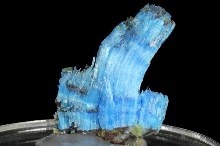 Vibrant Blue Chalcanthite - Planet Mine, Arizona #176477